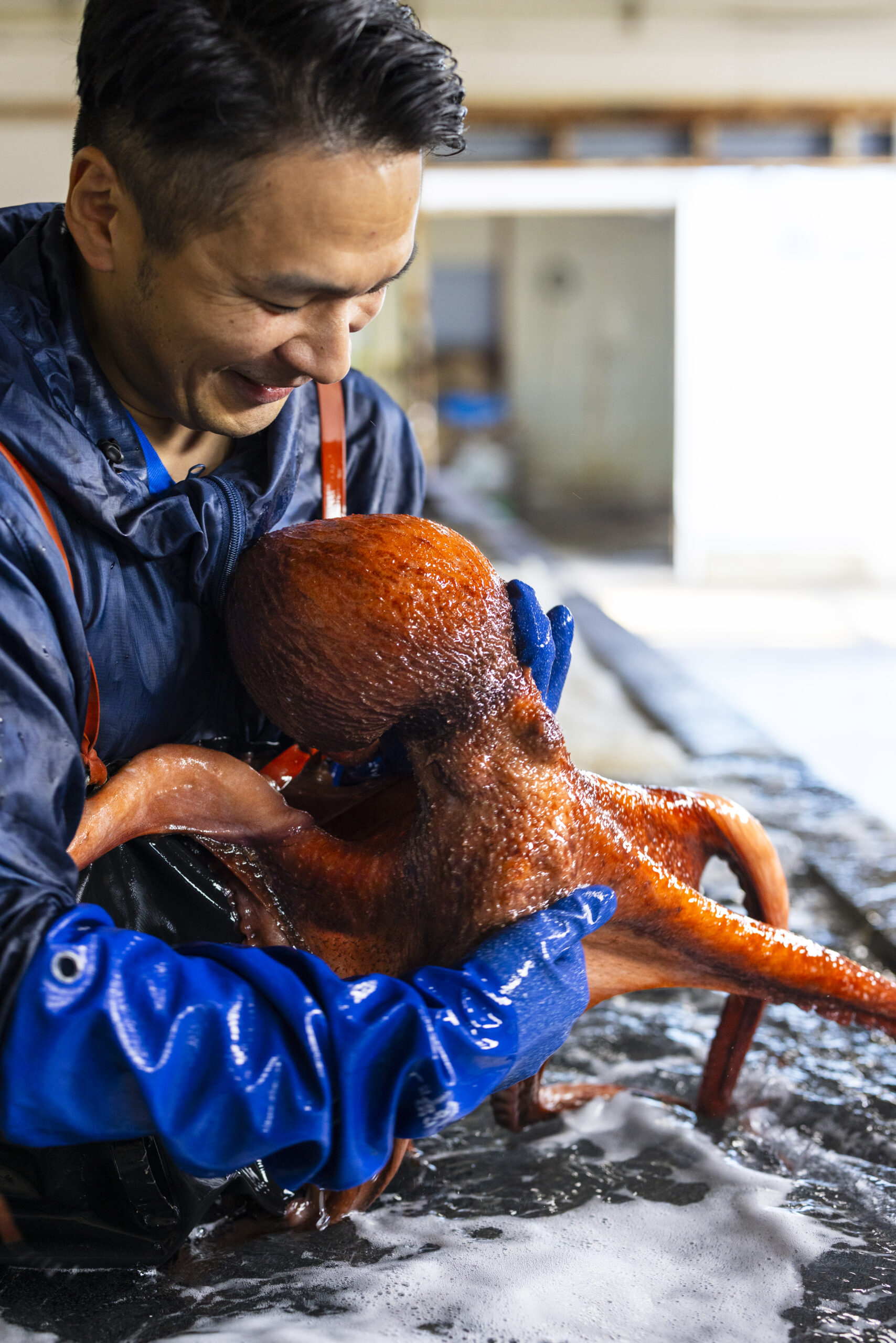 マルカ高橋水産ブランディング