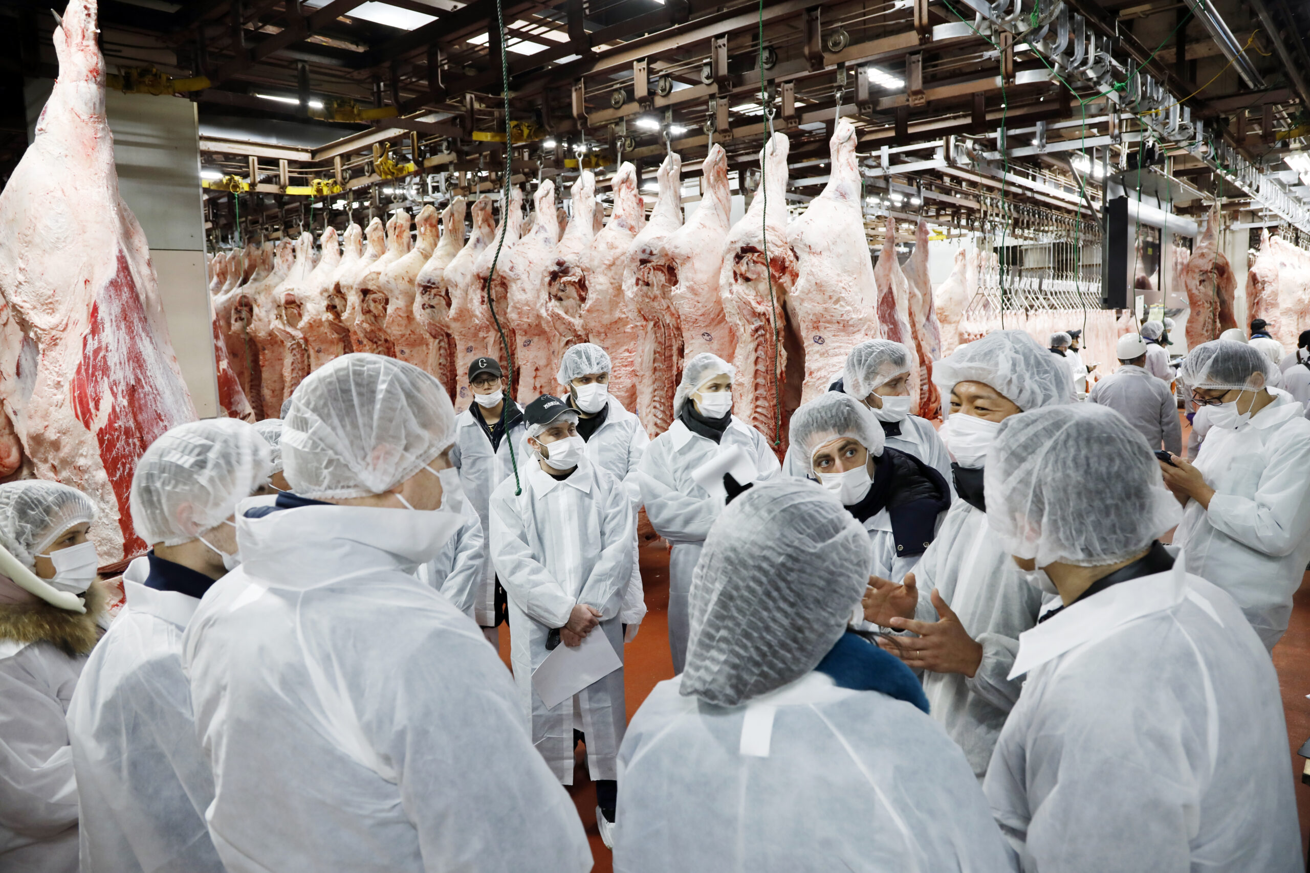 欧州向け仙台牛プロモーション